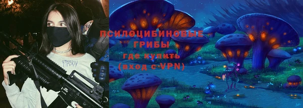 гидра Алзамай